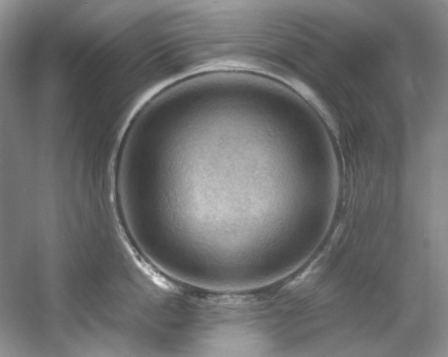 X0000061720862200512021337