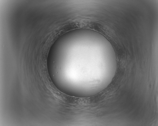 X0000061720865200512021336