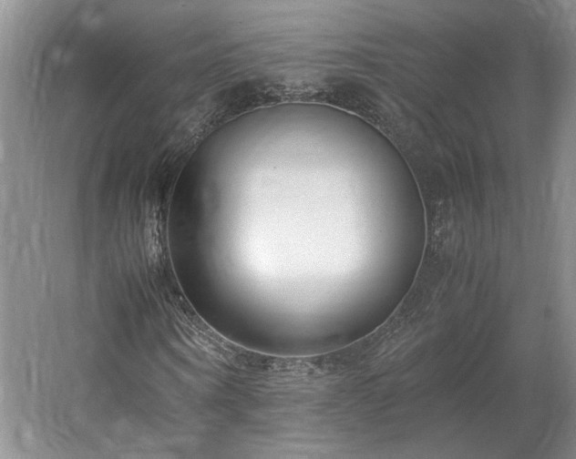 X0000061720866200512021336