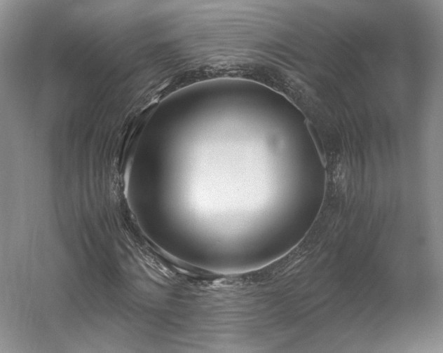 X0000061720868200512021336