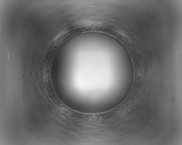 X0000061720869200512021336