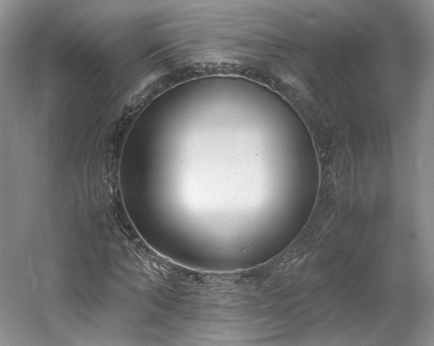 X0000061720870200512021336