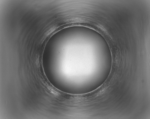 X0000061720873200512021336