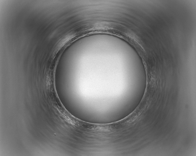 X0000061720874200512021336