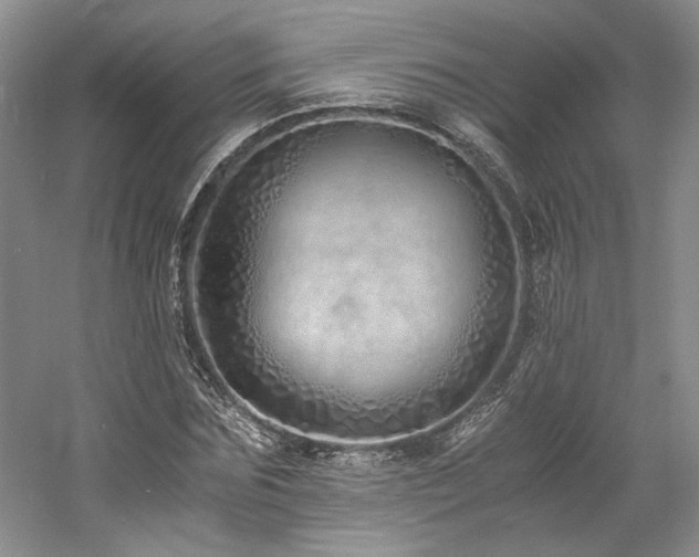 X0000061720875200512021336