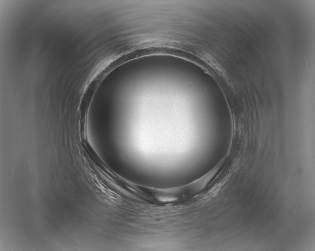 X0000061720877200512021336