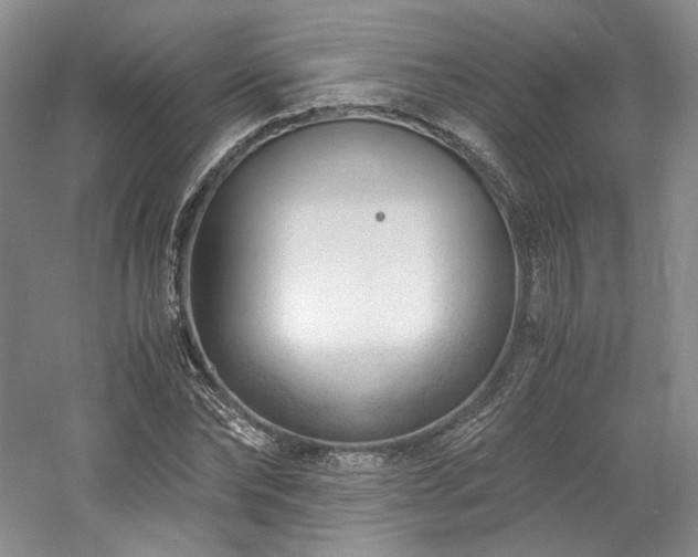 X0000061720878200512021336