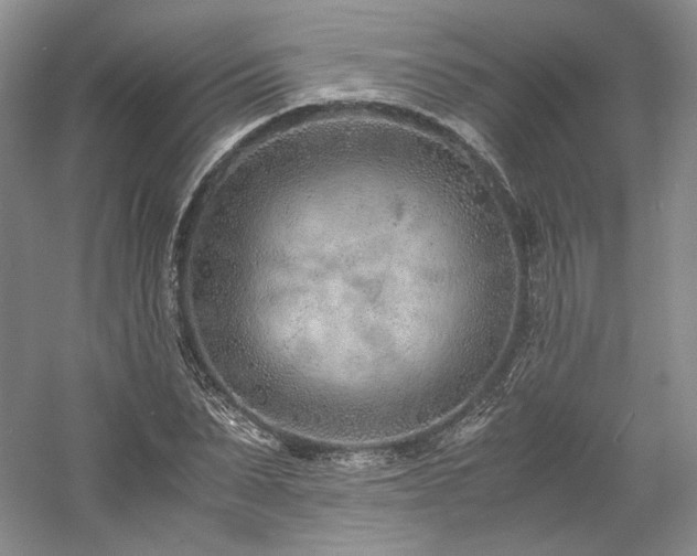 X0000061720879200512021336