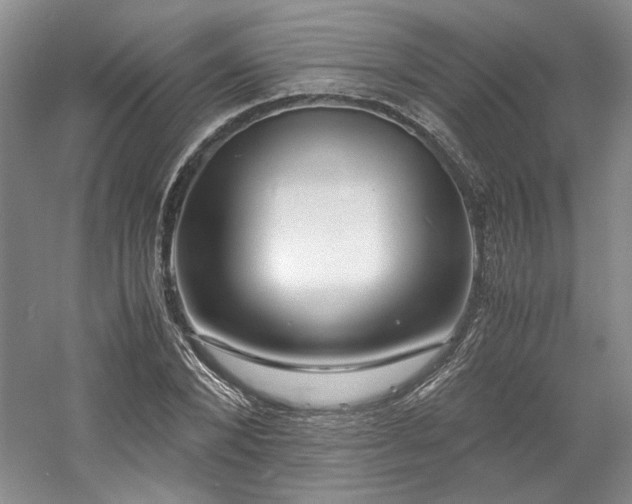 X0000061720880200512021336