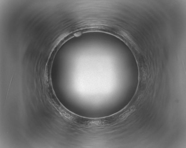 X0000061720883200512021336