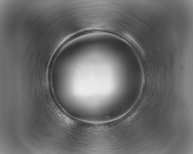 X0000061720884200512021336