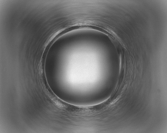 X0000061720885200512021336