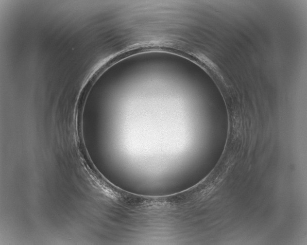 X0000061720886200512021336