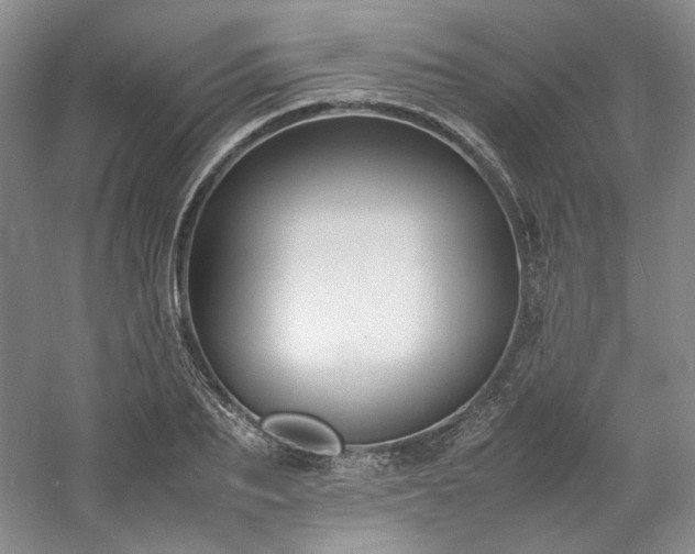 X0000061720887200512021336