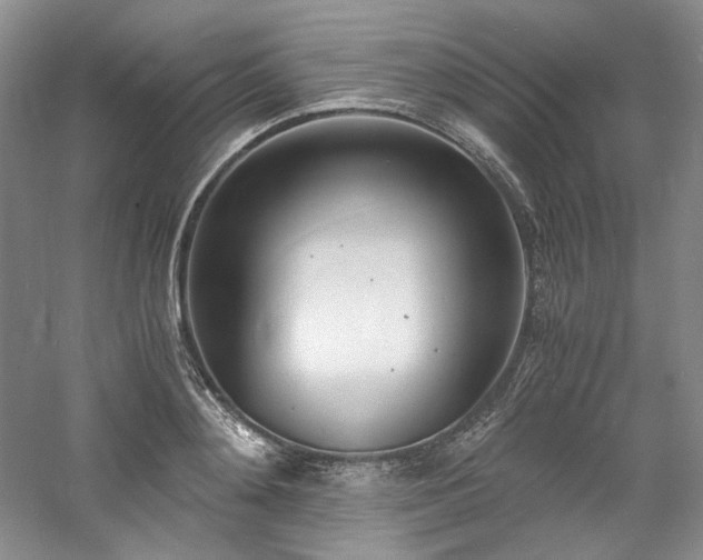 X0000061720892200512021336
