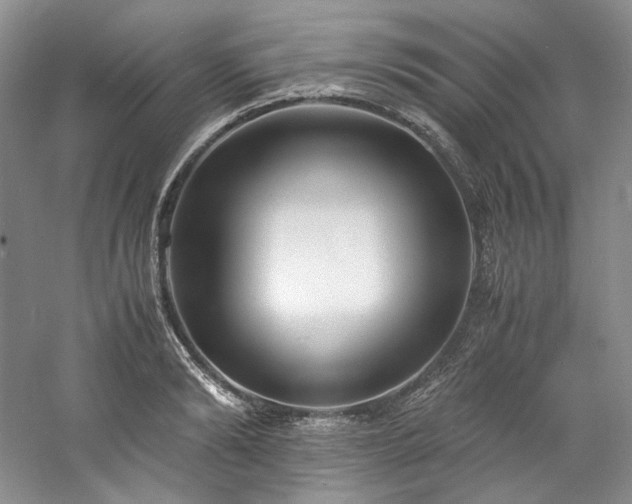 X0000061720894200512021336