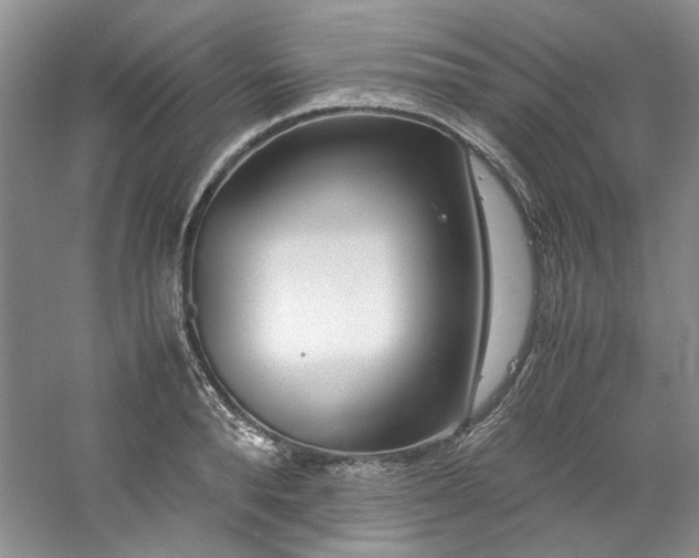 X0000061720896200512021336