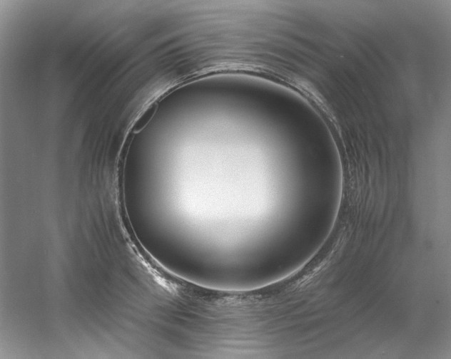 X0000061720898200512021336