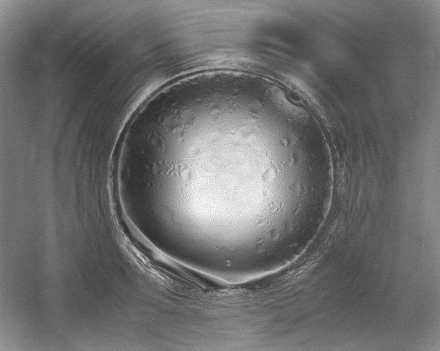 X0000061720899200512021336