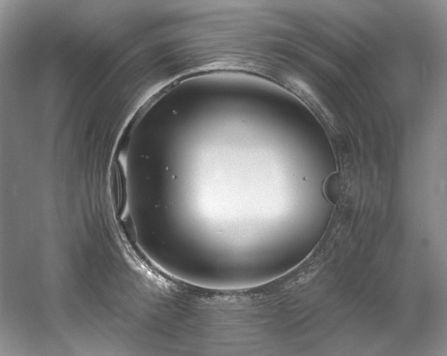 X0000061720900200512021336