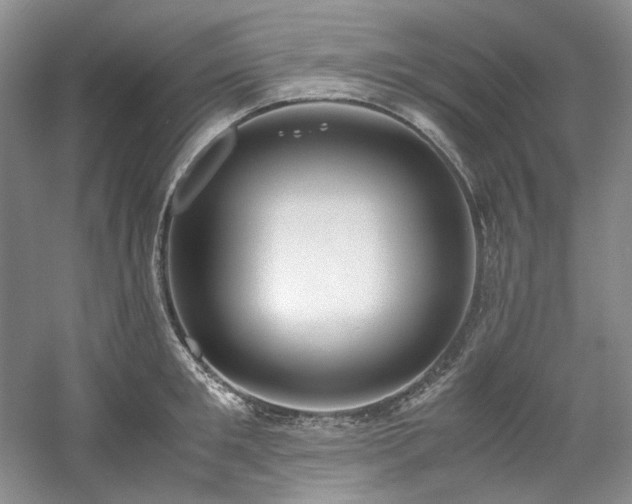 X0000061720901200512021336