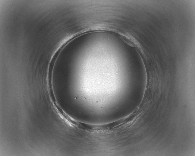 X0000061720902200512021336