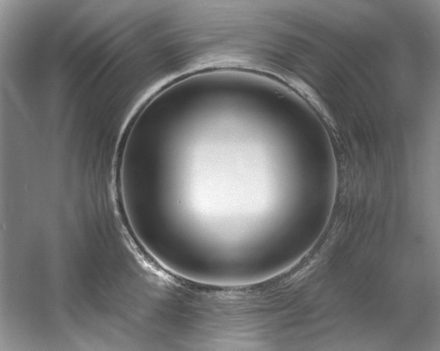 X0000061720904200512021335