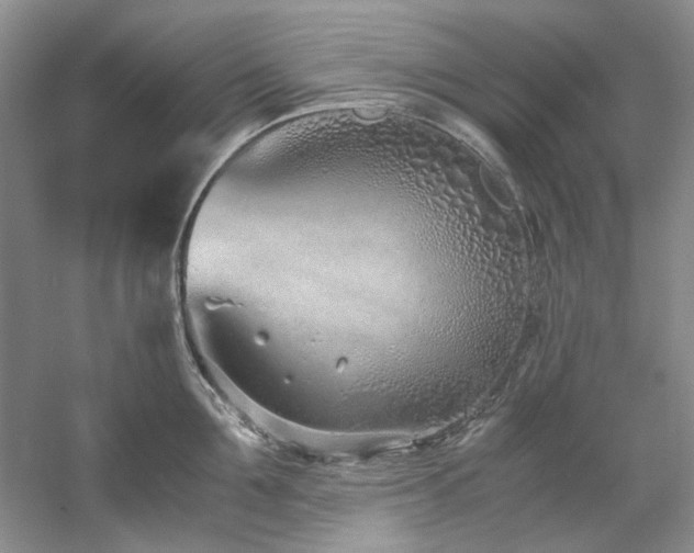 X0000061720907200512021335