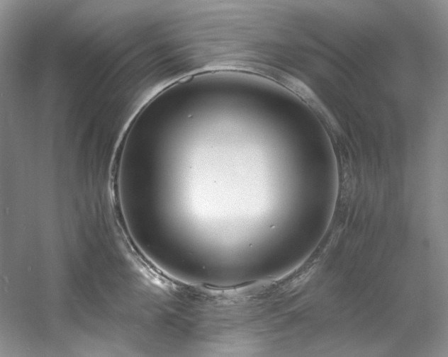 X0000061720908200512021335