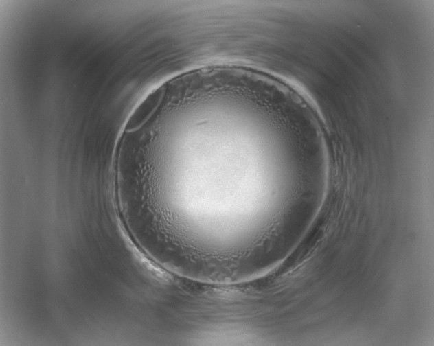 X0000061720911200512021335