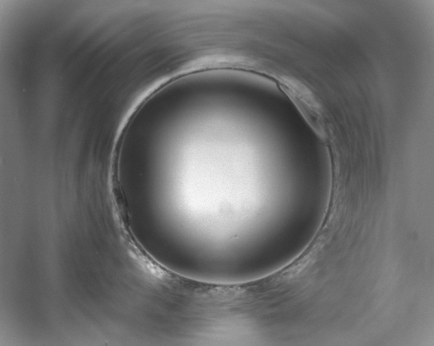 X0000061720912200512021335