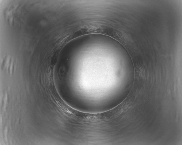 X0000061720914200512021335