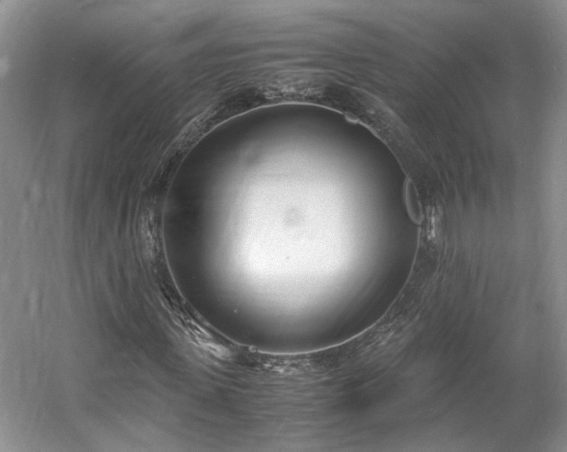 X0000061720915200512021335