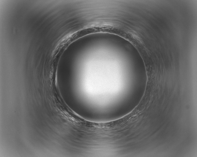 X0000061720920200512021335