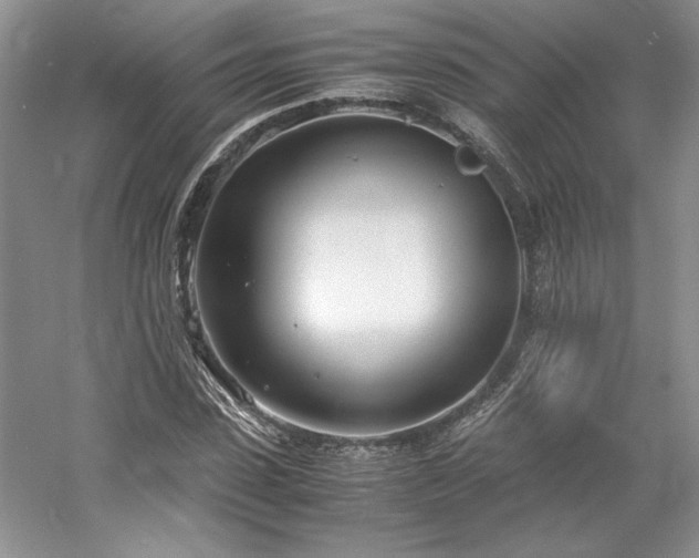 X0000061720923200512021335