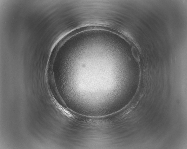X0000061720928200512021335