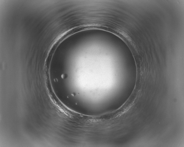 X0000061720933200512021335