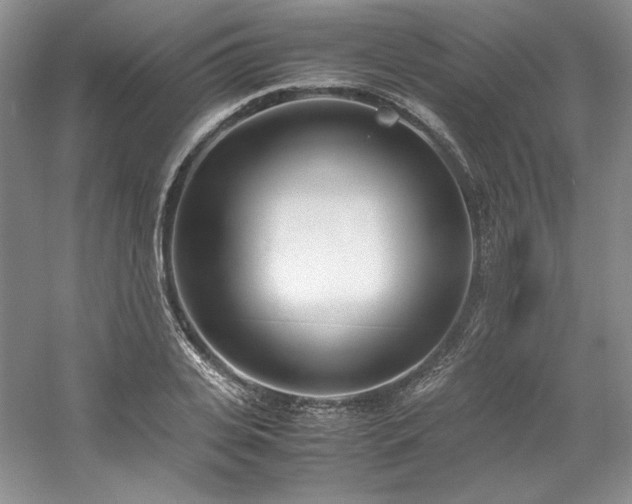 X0000061720935200512021335