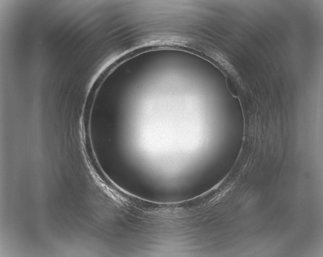X0000061720936200512021335