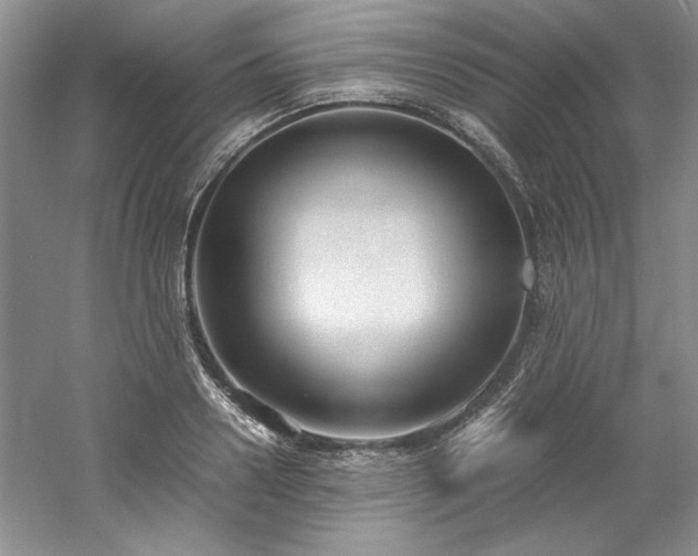 X0000061720938200512021335