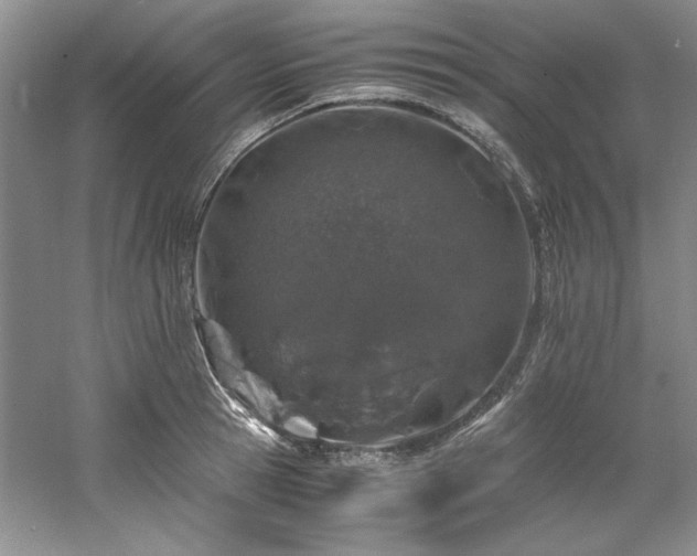 X0000061720945200512021335