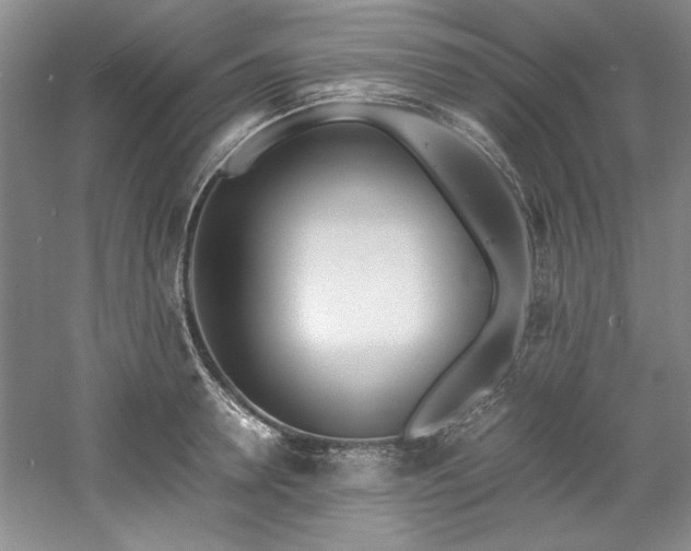 X0000061720946200512021335