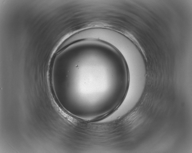 X0000061720947200512021335