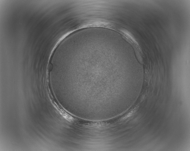 X0000061720948200512021335