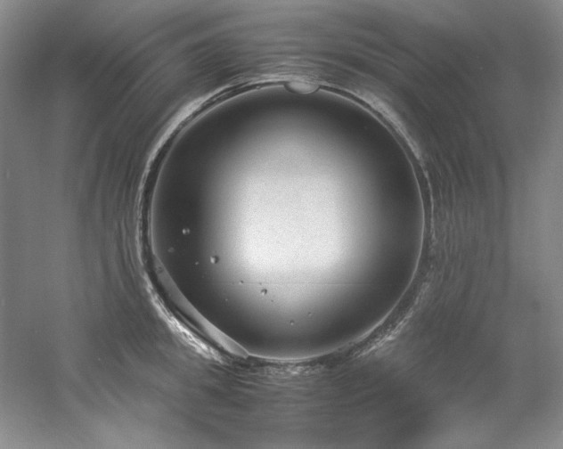 X0000061720949200512021335