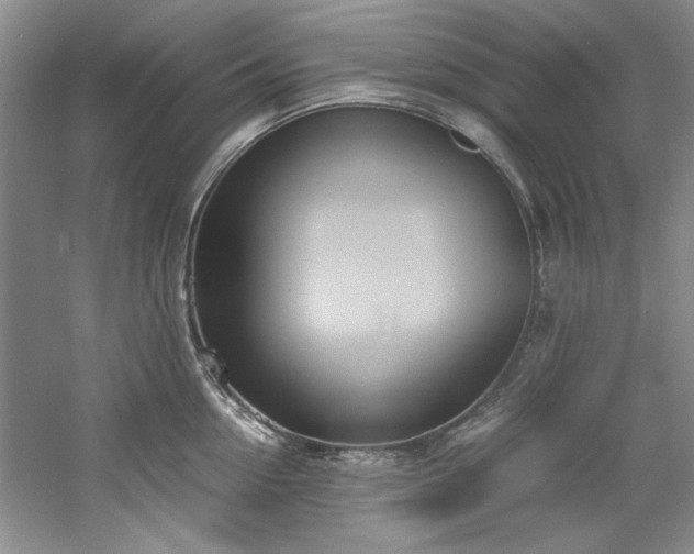 X0000061720954200512021335