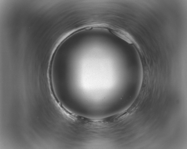 X0000061720959200512021335