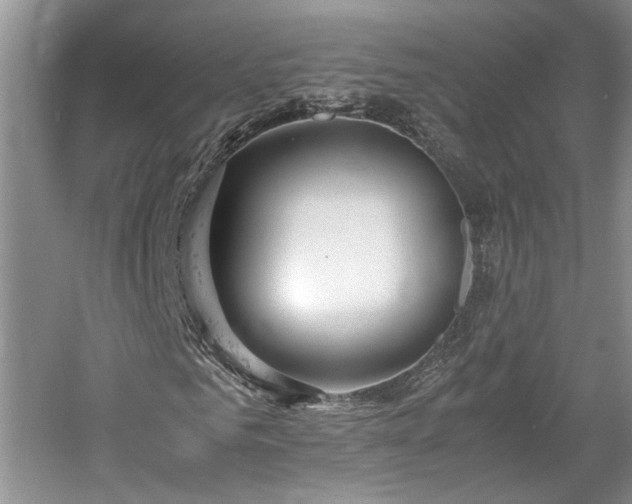 X0000061720961200512021334