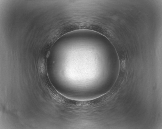 X0000061720963200512021334
