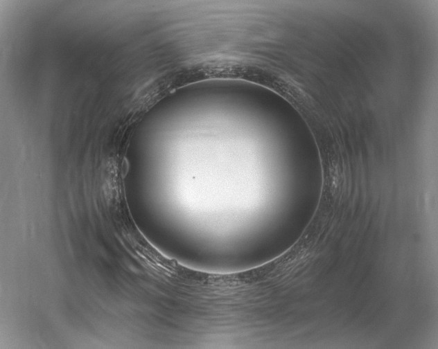 X0000061720964200512021334